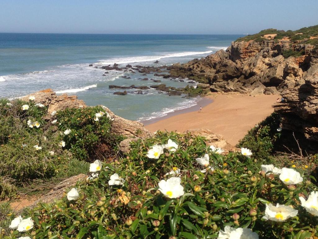 Glamping -bungalows El Faro